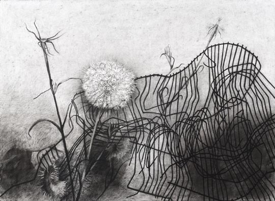 fence charcoal on paper 22 x30 2009 web.jpg